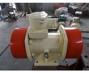 防爆振動(dòng)電機(jī)